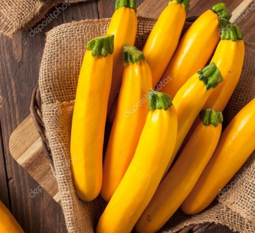 Squash Zucchini Gold 